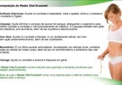 Moder Diet Funciona, Bula, Preço, Comprar Original 8